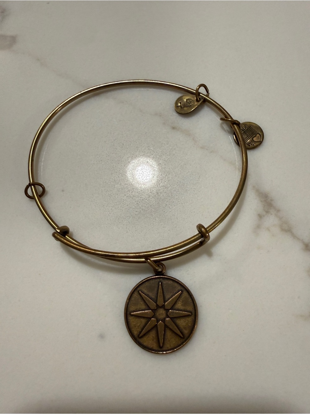 Alex and Ani Bronze-Tone Compass Charm Bangle